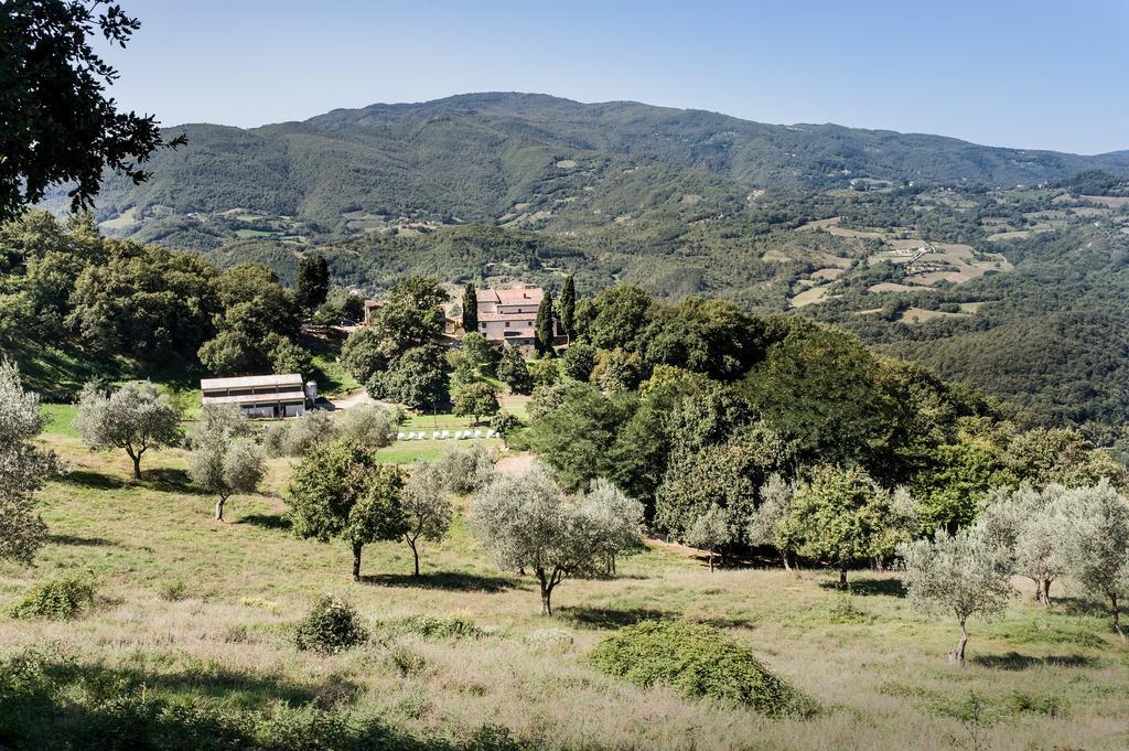 Agriturismo Di Baroni Enzo Dicomano Exterior photo